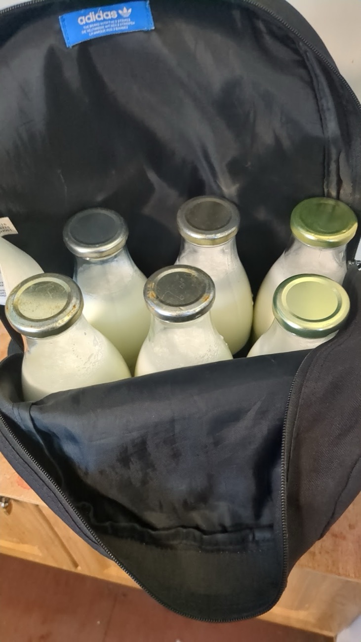 Five glass bottles of fresh milk with gold caps packed in a bag