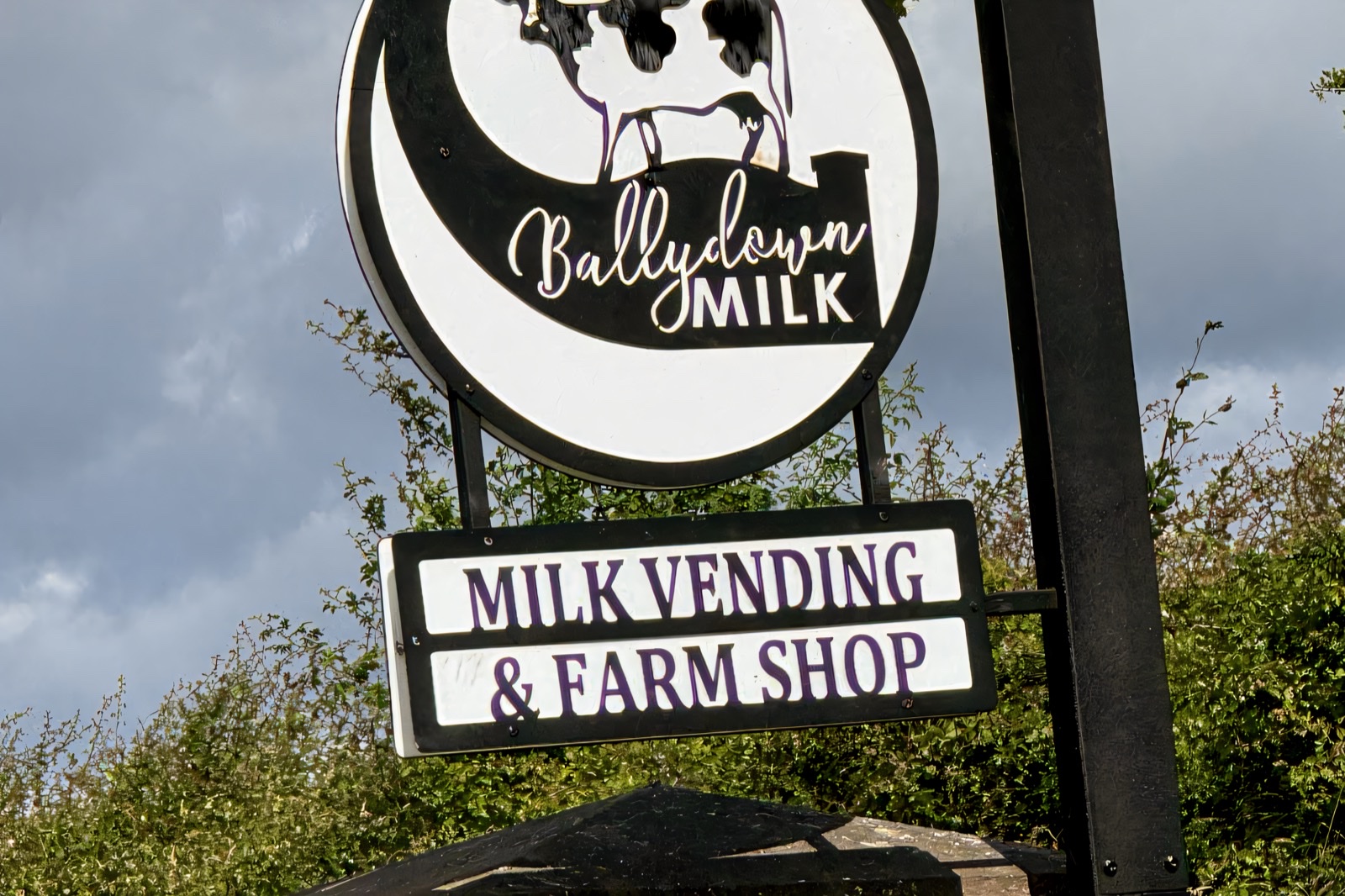 The green container farm shop at Ballydown Milk with its cow logo, open to the yard under a blue sky
