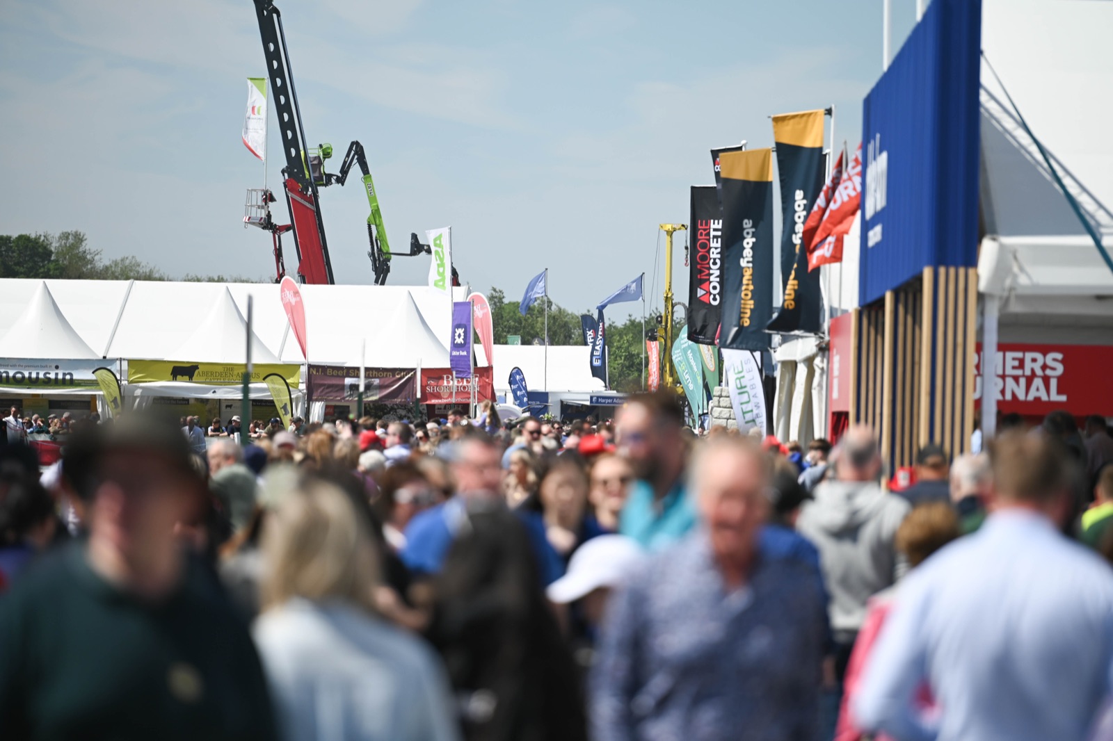Crowds filling the tree-lined avenue of trade stands at the Balmoral Show under a bright sky
