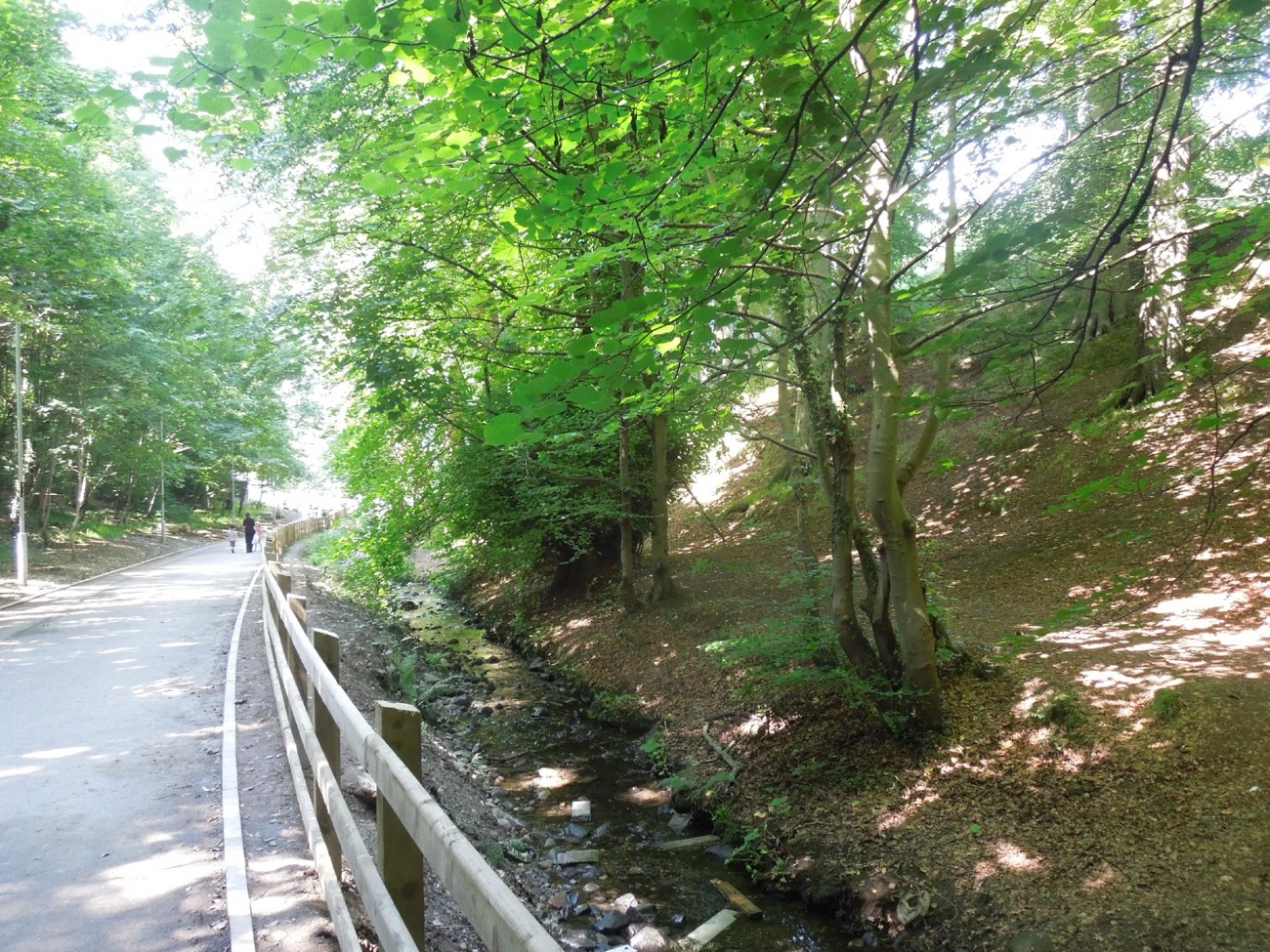 A tree-lined path with a railing running through the woodland at Bay Road Park