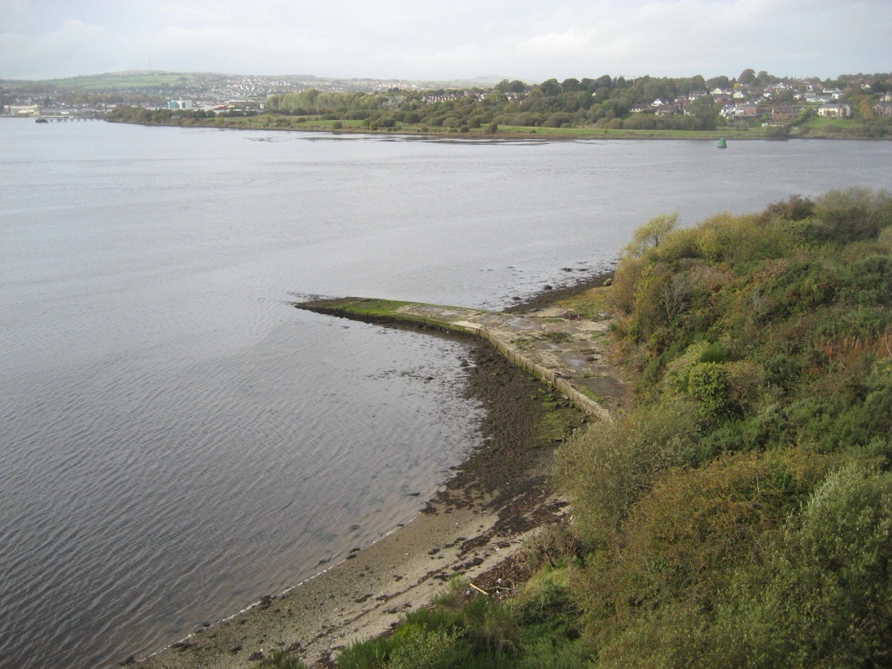 The shoreline of the River Foyle at Bay Road with mudflats, saltmarsh and the far bank beyond