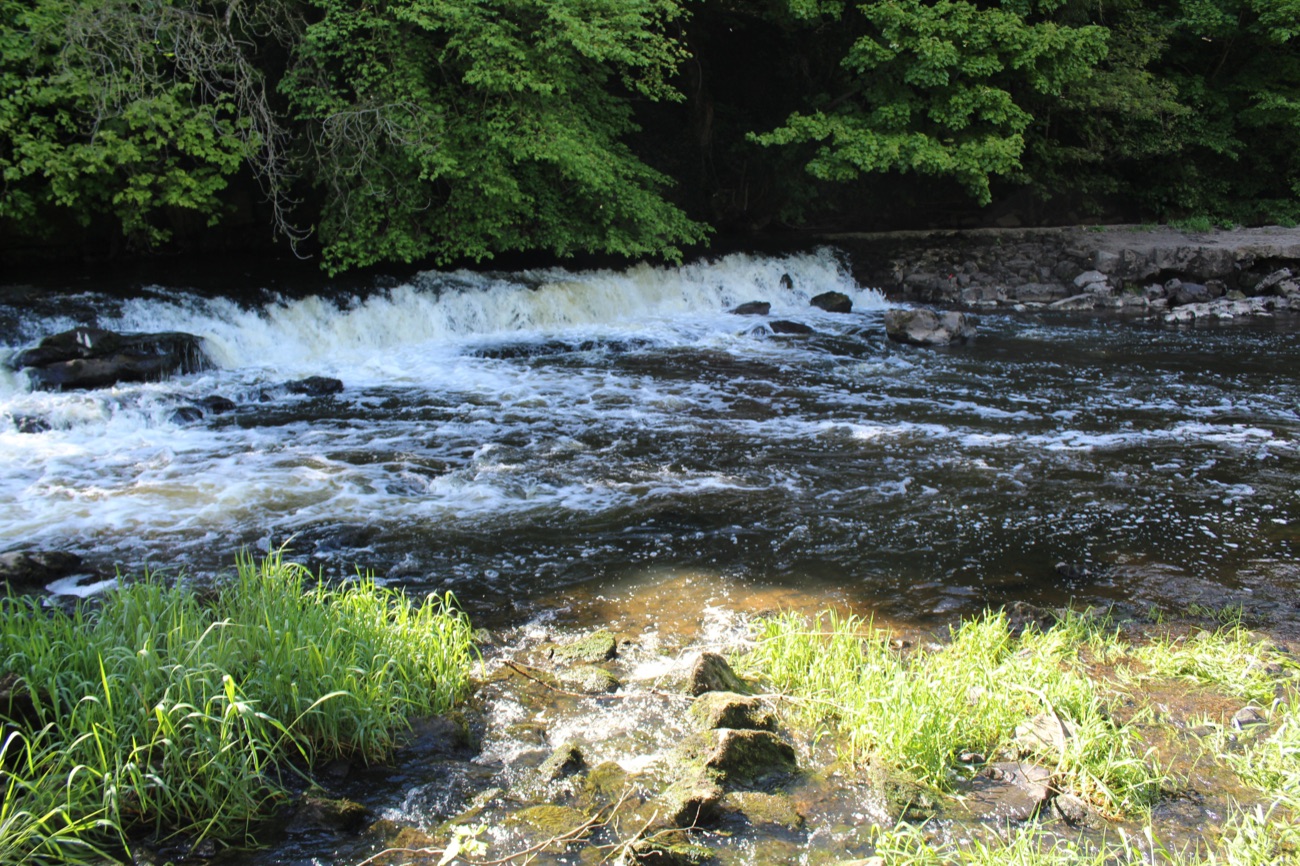 A weir and white water on the River Blackwater at Benburb, framed by green woodland on both banks