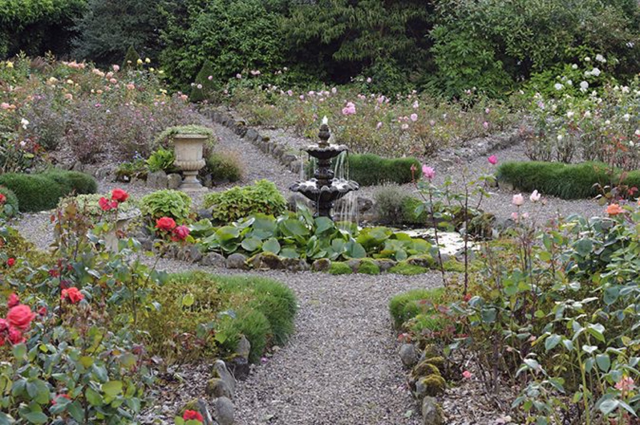The rose garden at Benvarden with beds radiating from a stone fountain