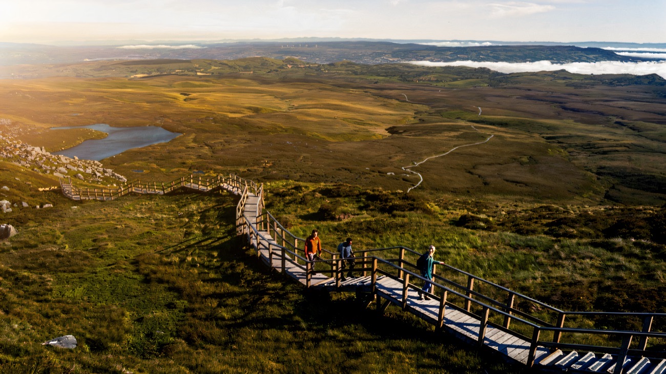 Walkers climbing the timber staircase of the Cuilcagh boardwalk high above the Fermanagh lakelands