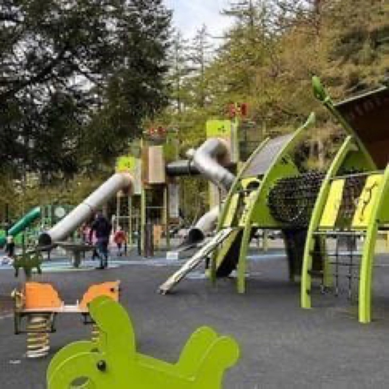 The big timber play park among tall pines at Gortin Glen Forest Park