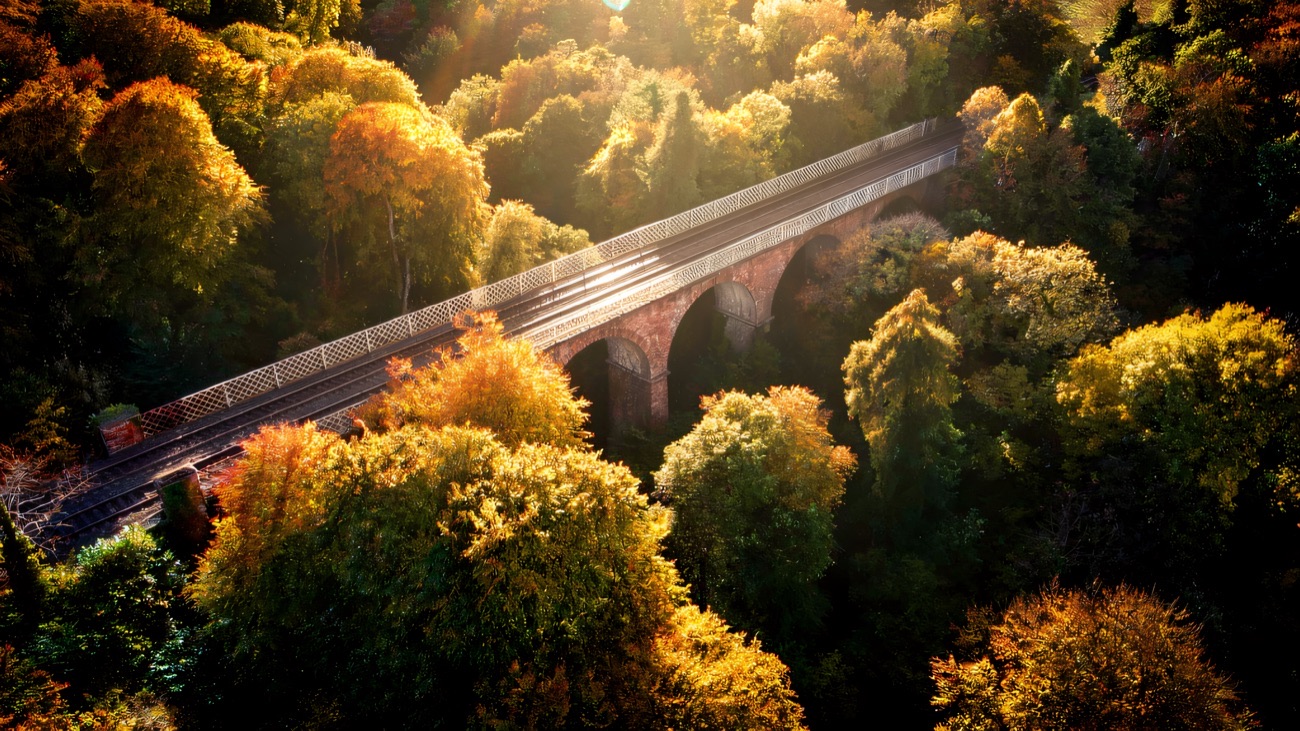 The old railway viaduct crossing the wooded glen at Crawfordsburn in autumn colour