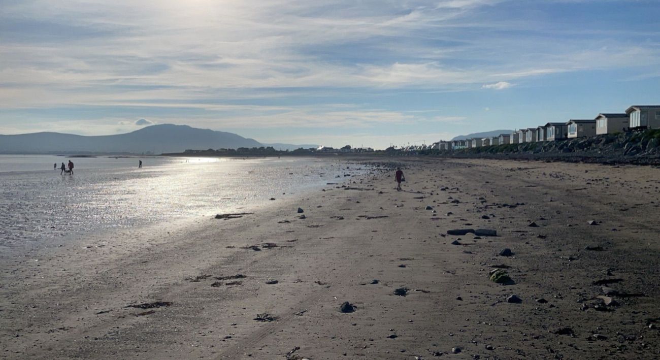 Families paddling in the shallow water at Cranfield Beach with the mountains across Carlingford Lough