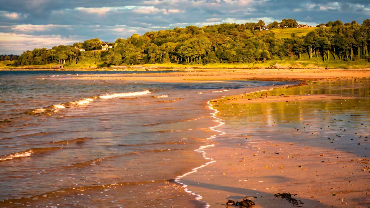 Golden evening light on the sandy beach at Crawfordsburn Country Park on Belfast Lough