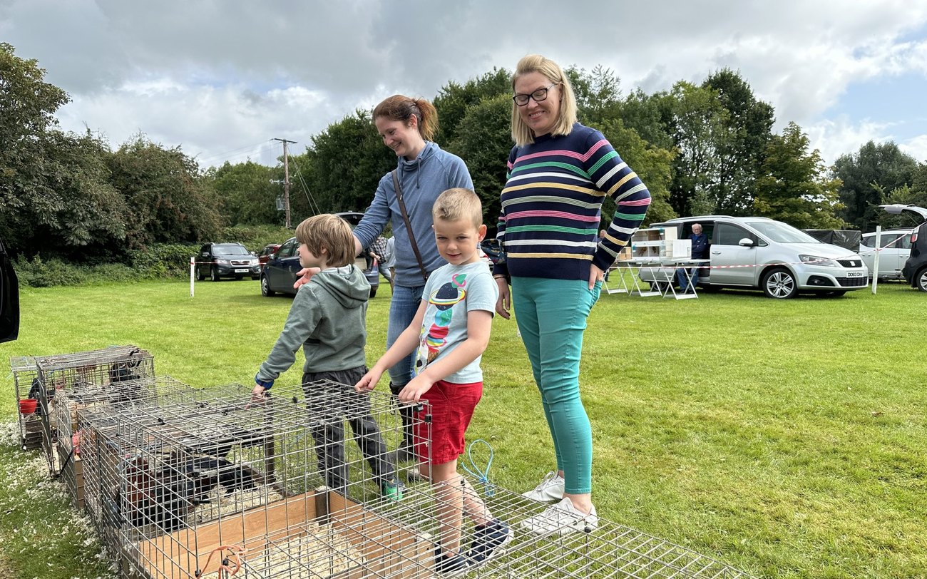 Families at Tannaghmore rare breeds farm, Craigavon