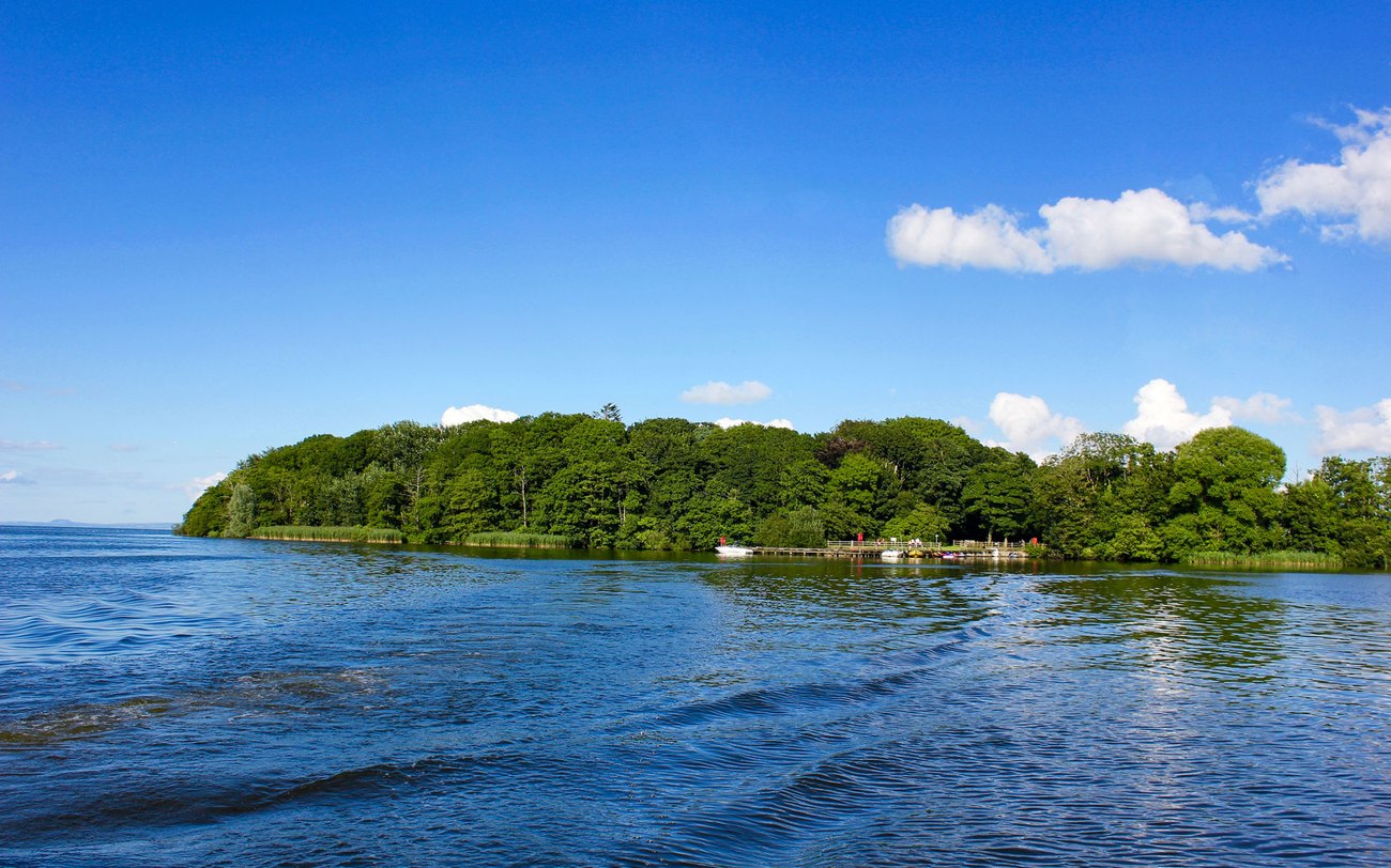 Coney Island and the shore of Lough Neagh at Maghery