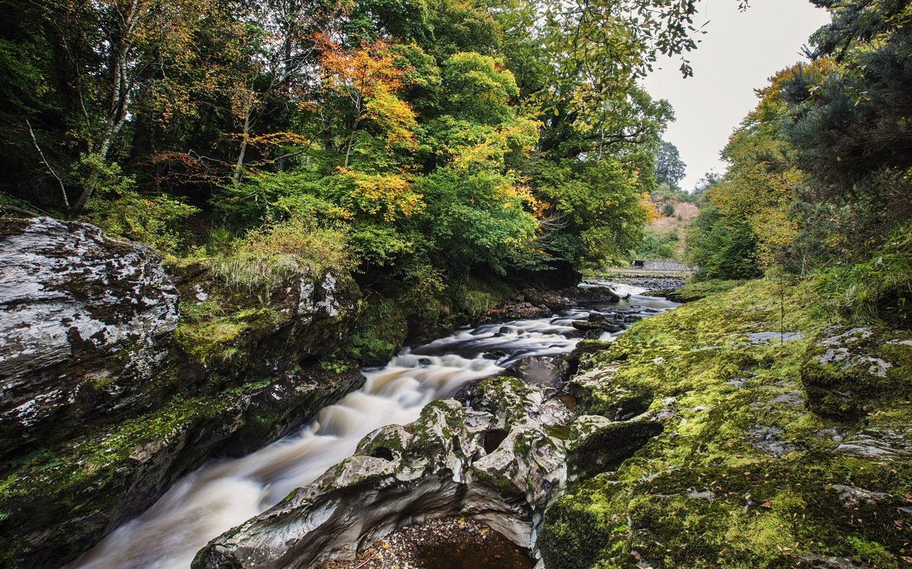 The wooded river gorge at Roe Valley Country Park
