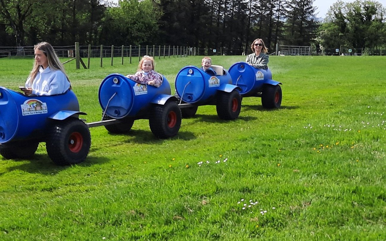 The family farm and play area at Sperrin Fun Farm, Feeny