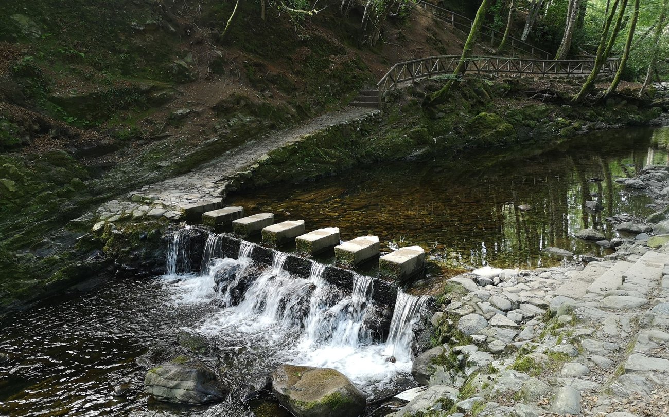 A stone bridge over the river in Tollymore Forest Park
