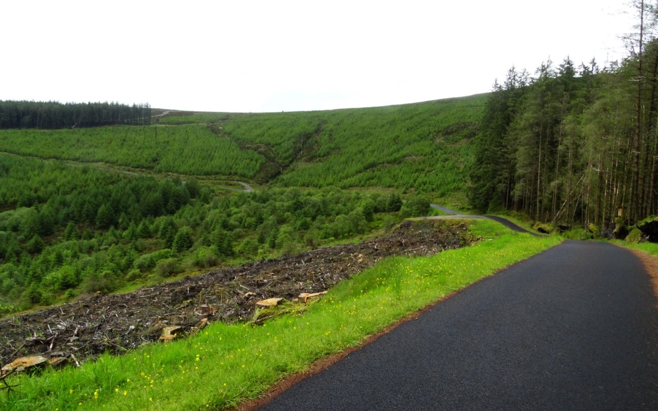 The forested hills of Gortin Glen Forest Park in the Sperrins