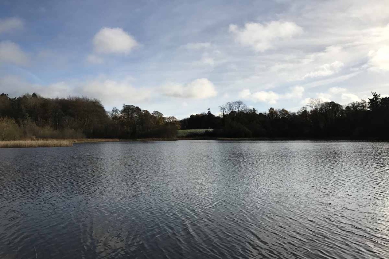 The open water of Lough Fadda, fringed with woodland and reeds