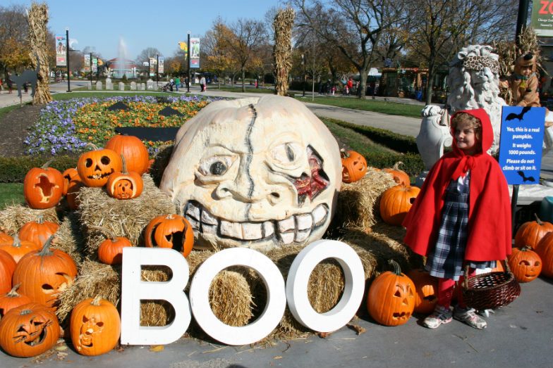 A carved-pumpkin 'BOO' display on the Halloween trail through Belfast Zoo