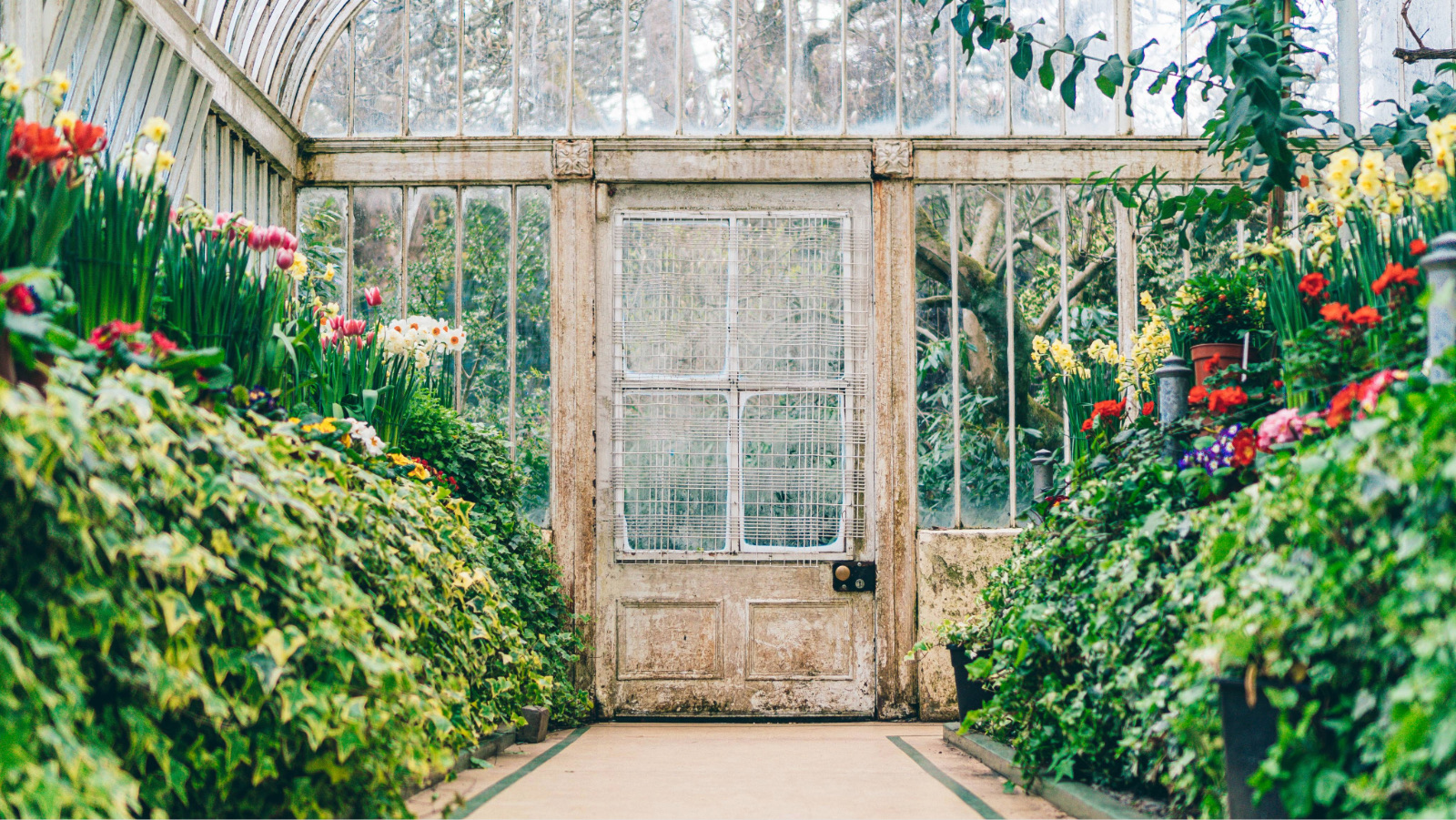 Inside the Palm House — an old door framed by lush green plants and flowers