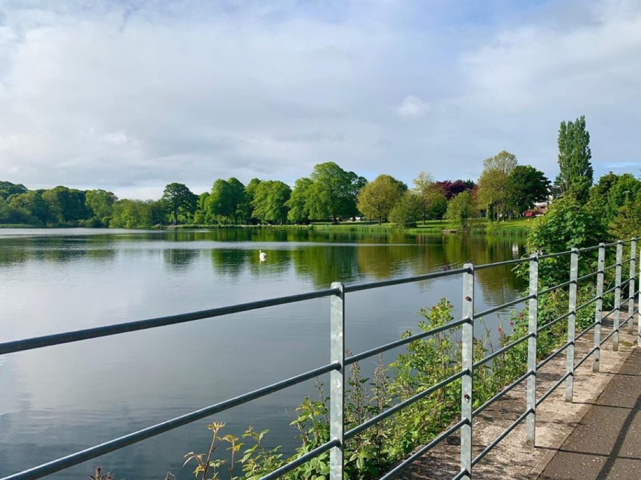 The lake at Lurgan Park with a swan on still water, a railed path and green parkland beyond