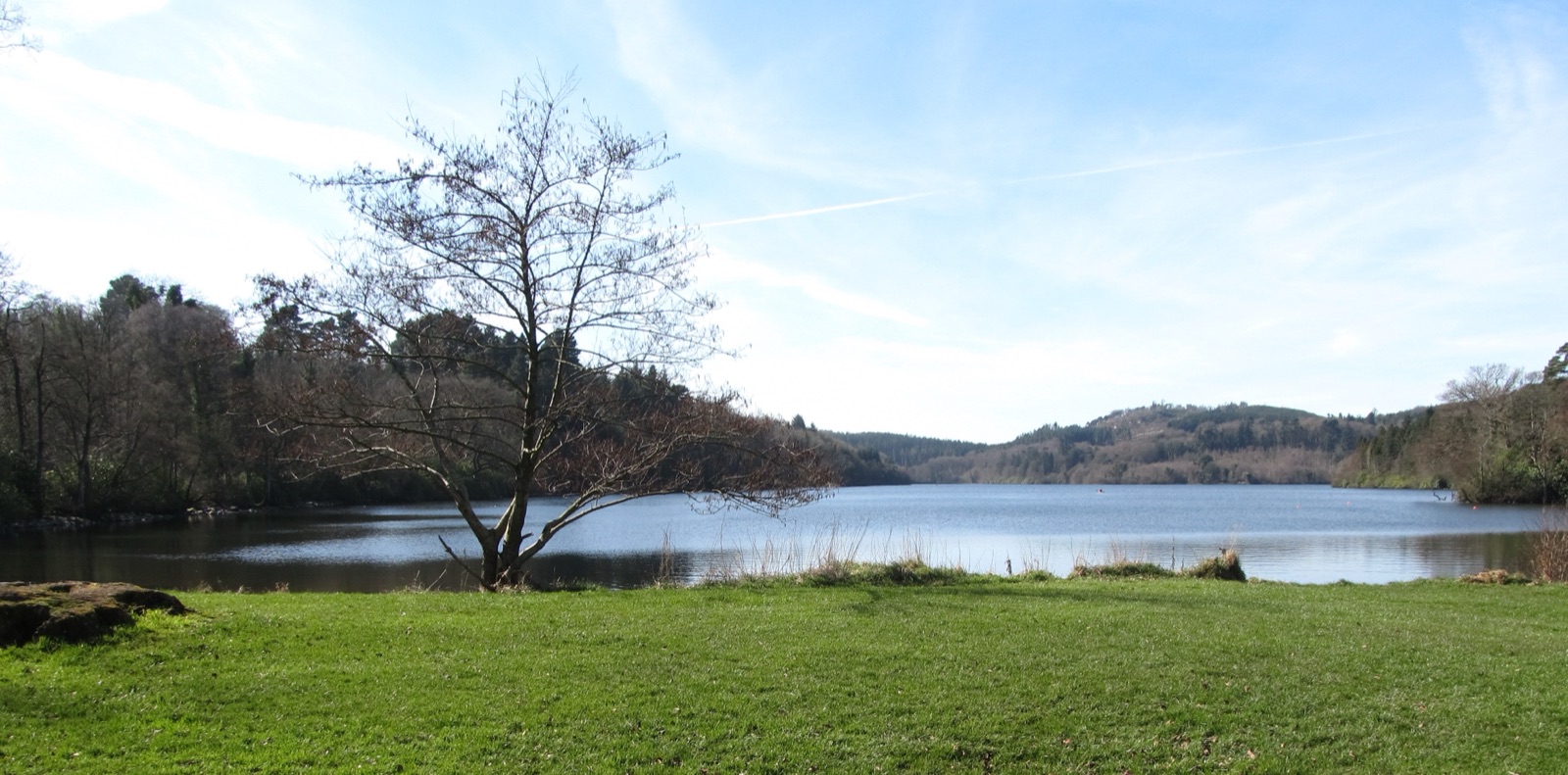 The lake at Castlewellan Forest Park