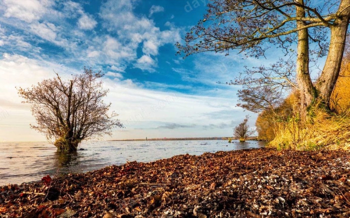 The shoreline of Lough Neagh in autumn