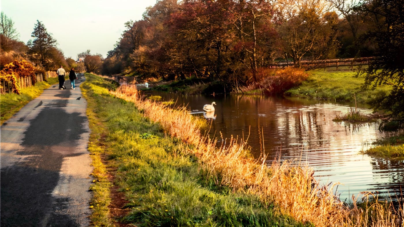 The towpath beside the Newry Canal