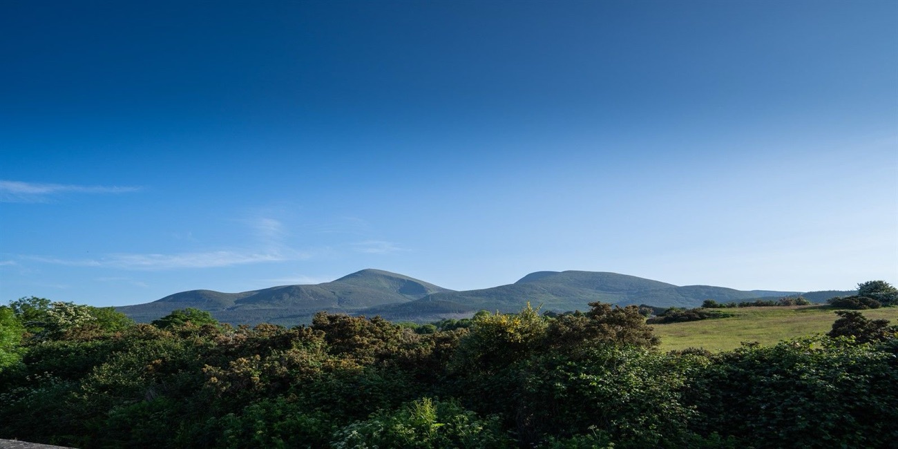 The Mourne Mountains rising beyond the hotel grounds.