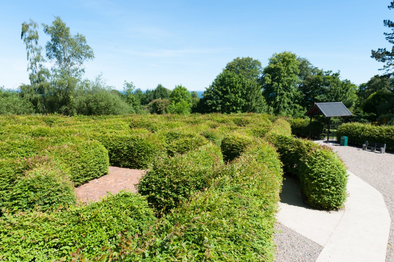 The clipped green hedge maze at Carnfunnock, its curving paths and gravel walkway leading in, with the sea beyond the trees