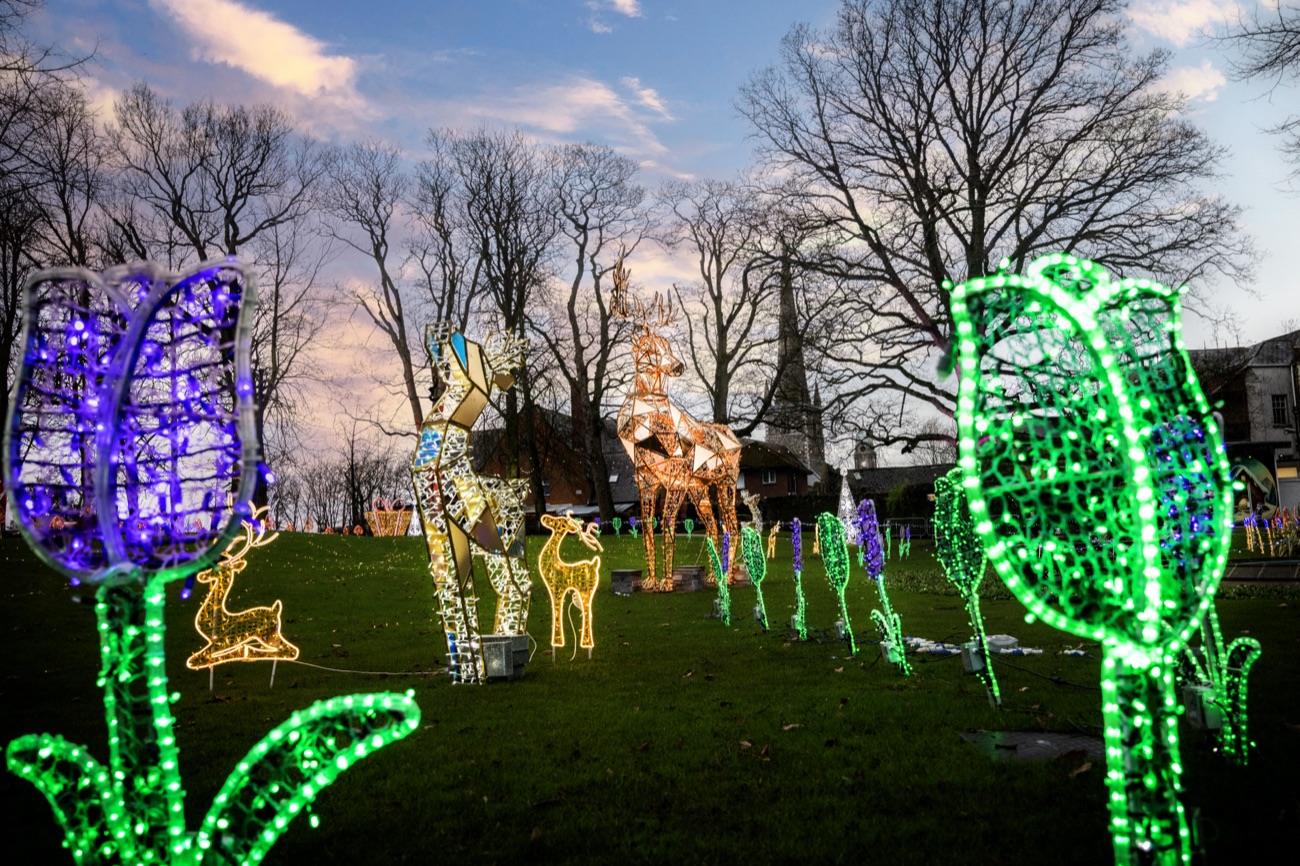 Illuminated light sculptures glowing among the trees at Castle Gardens during the Lisburn light trail