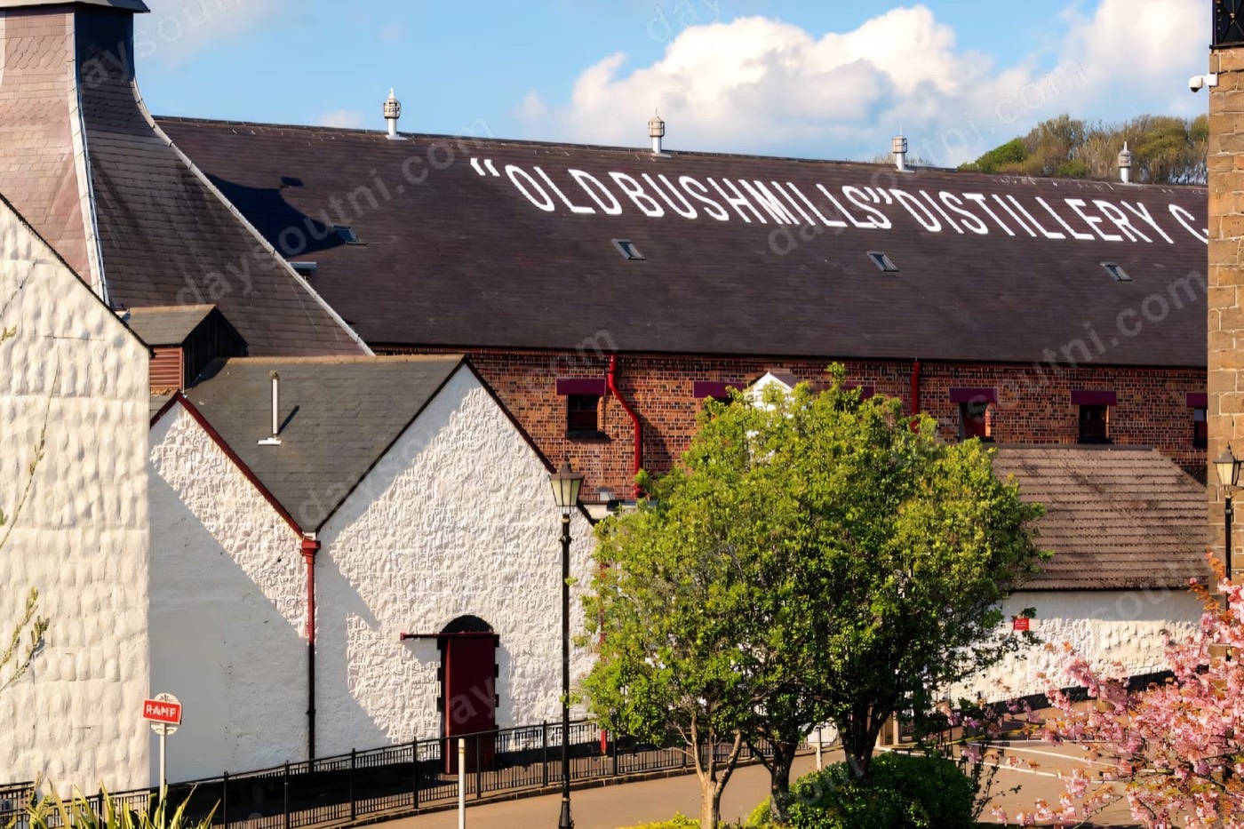 The pagoda roofs and whitewashed buildings of Old Bushmills Distillery