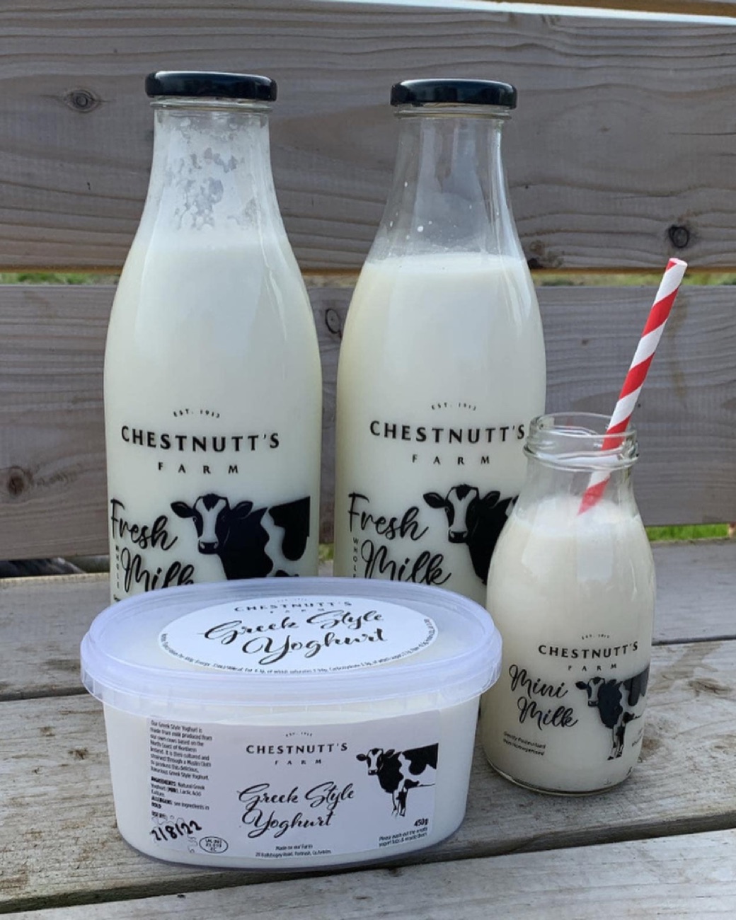 Chestnutt's Farm glass bottles of fresh milk, a milkshake and tubs of Greek-style yogurt on a bench