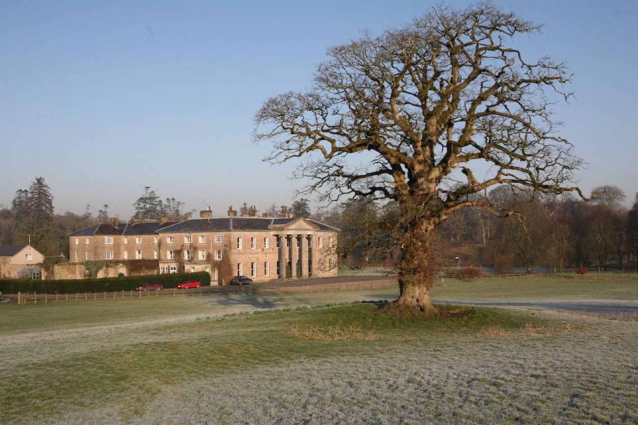 A great bare oak on frosty estate parkland with Colebrooke Park mansion in the distance