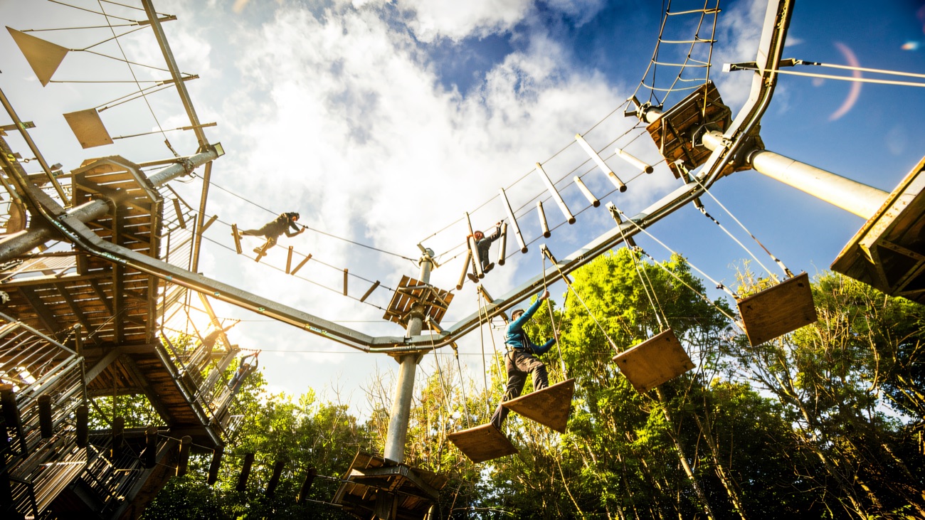 The high ropes course rising against a blue sky above the treetops at Colin Glen