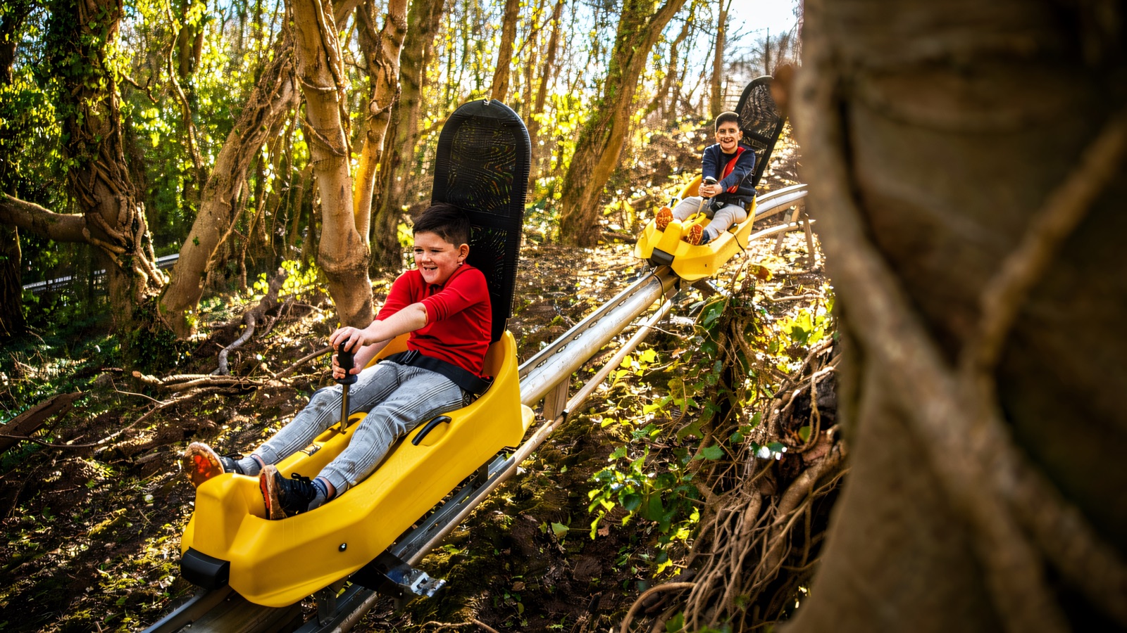 Two children riding the yellow Black Bull Run alpine coaster carts down the wooded hillside track at Colin Glen