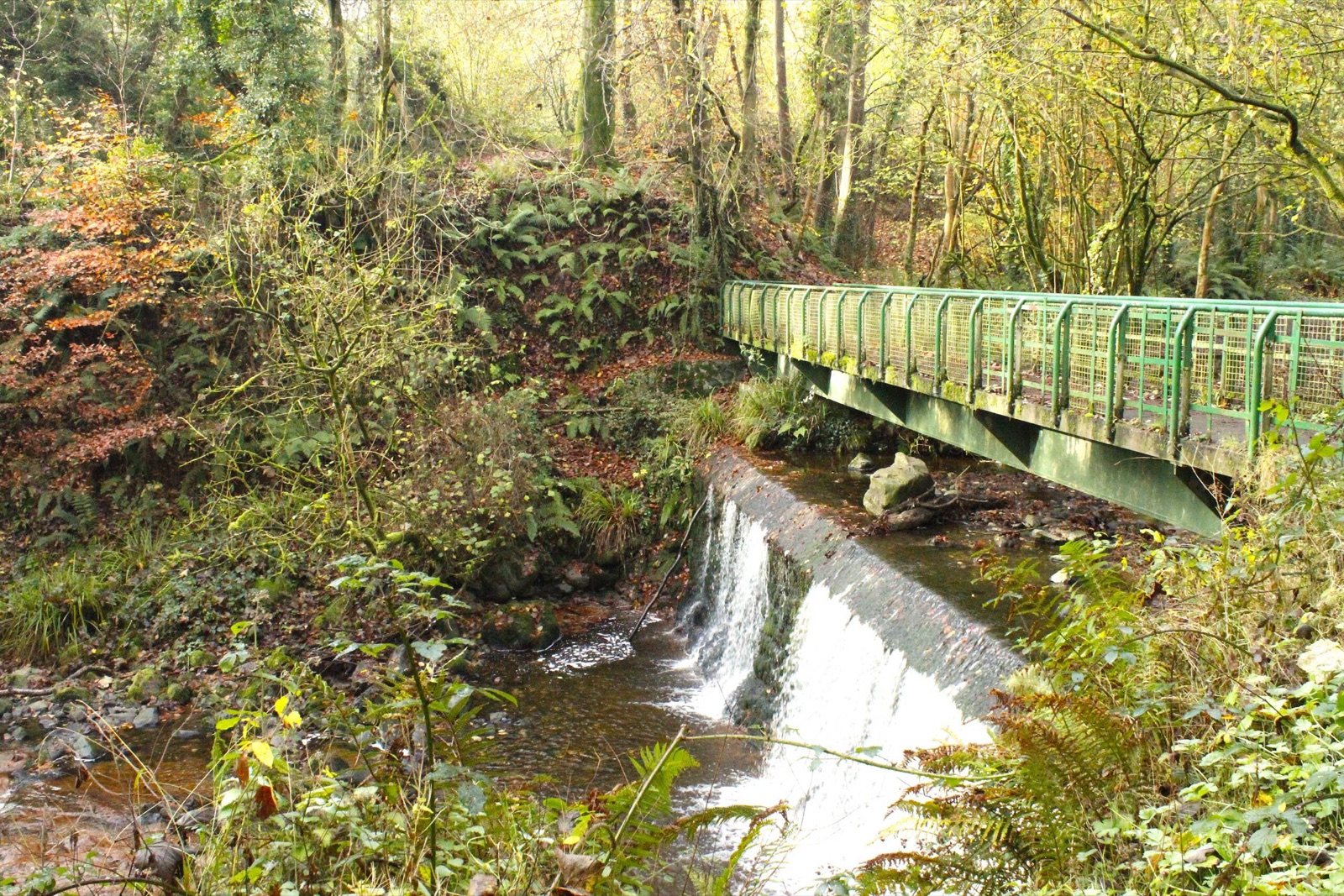 A green metal footbridge over a weir in autumn woodland at Colin Glen