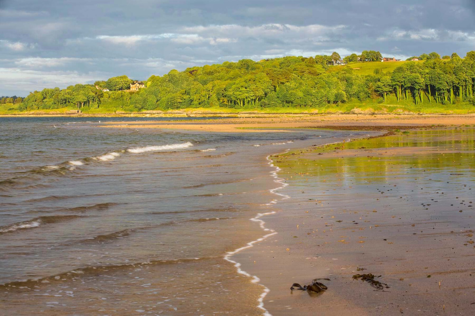 A sandy beach at Crawfordsburn Country Park with waves washing in and a wooded shoreline curving round Belfast Lough
