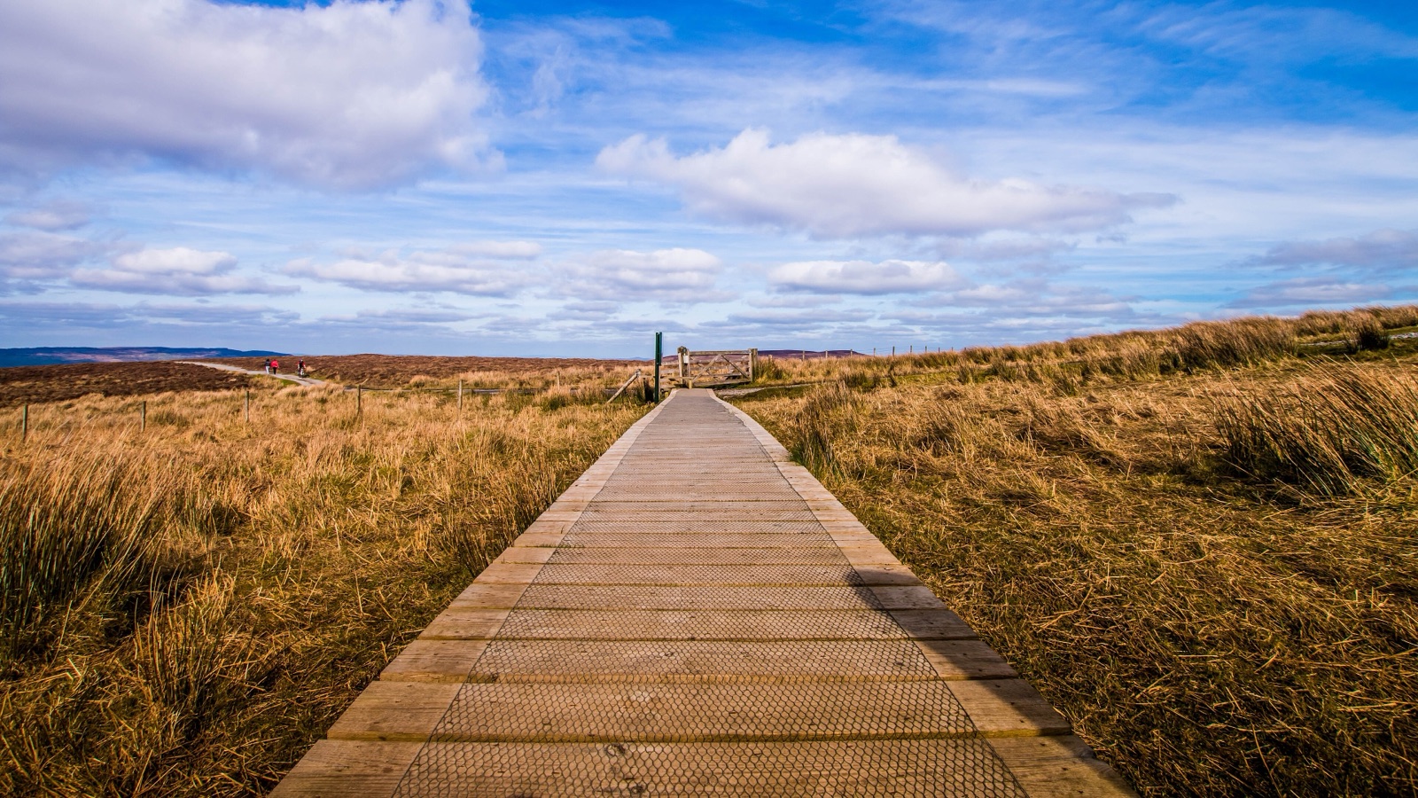 The long timber boardwalk running straight across golden blanket bog under a big blue sky