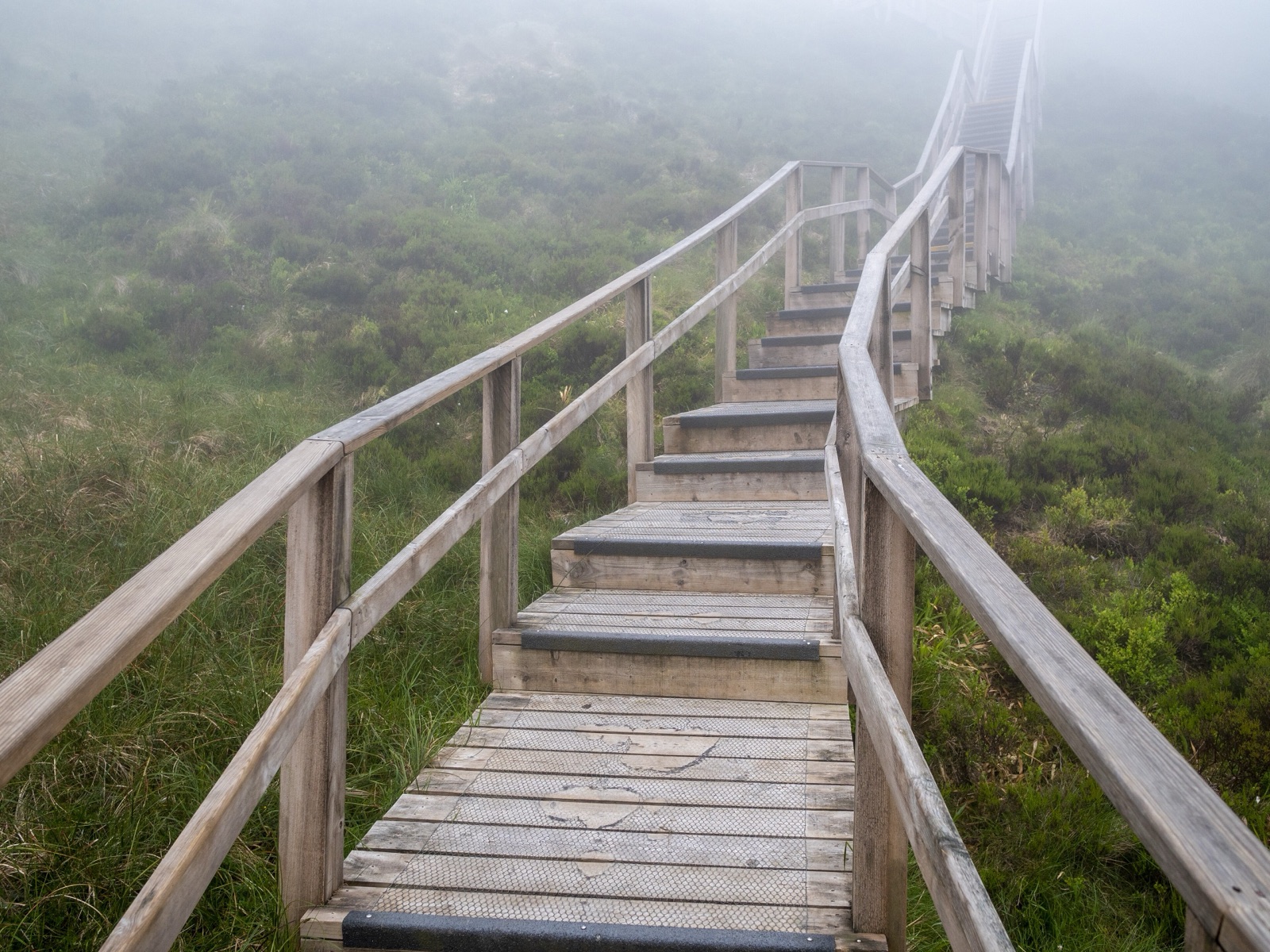 The timber Stairway to Heaven climbing a misty mountainside into low cloud on Cuilcagh