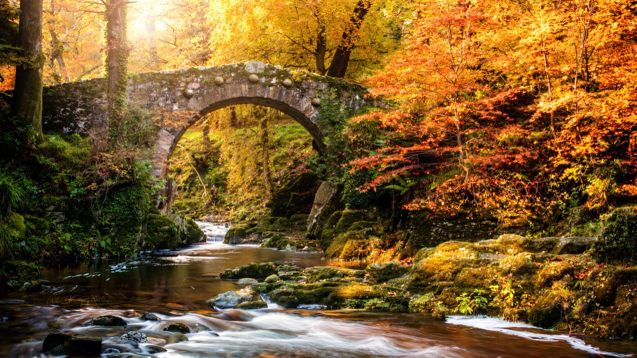 An old stone arch bridge over the rushing Shimna River at Tollymore, surrounded by autumn trees