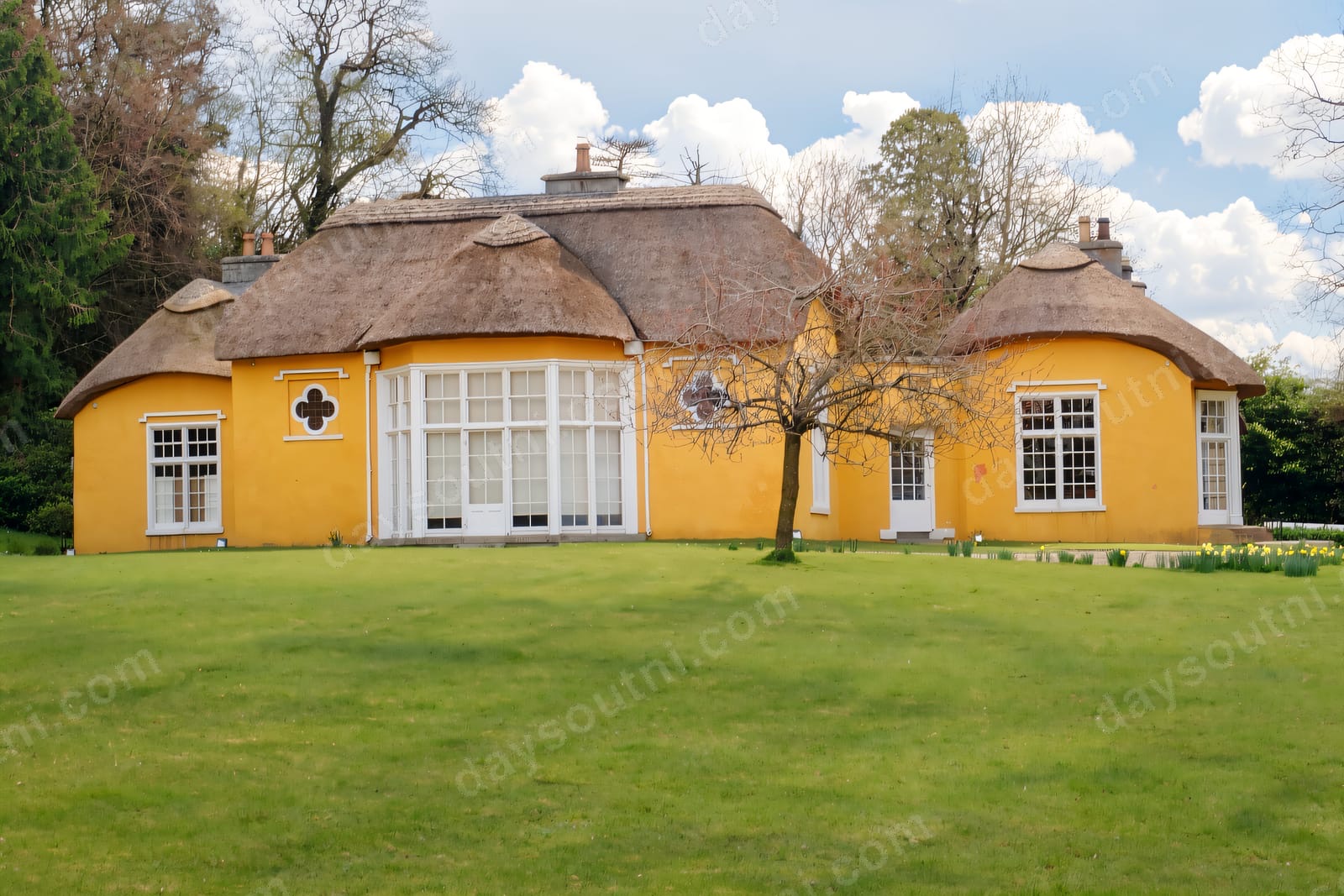 The yellow thatched cottage orné at Derrymore House, its rounded bays and thatched roof set behind a wide green lawn