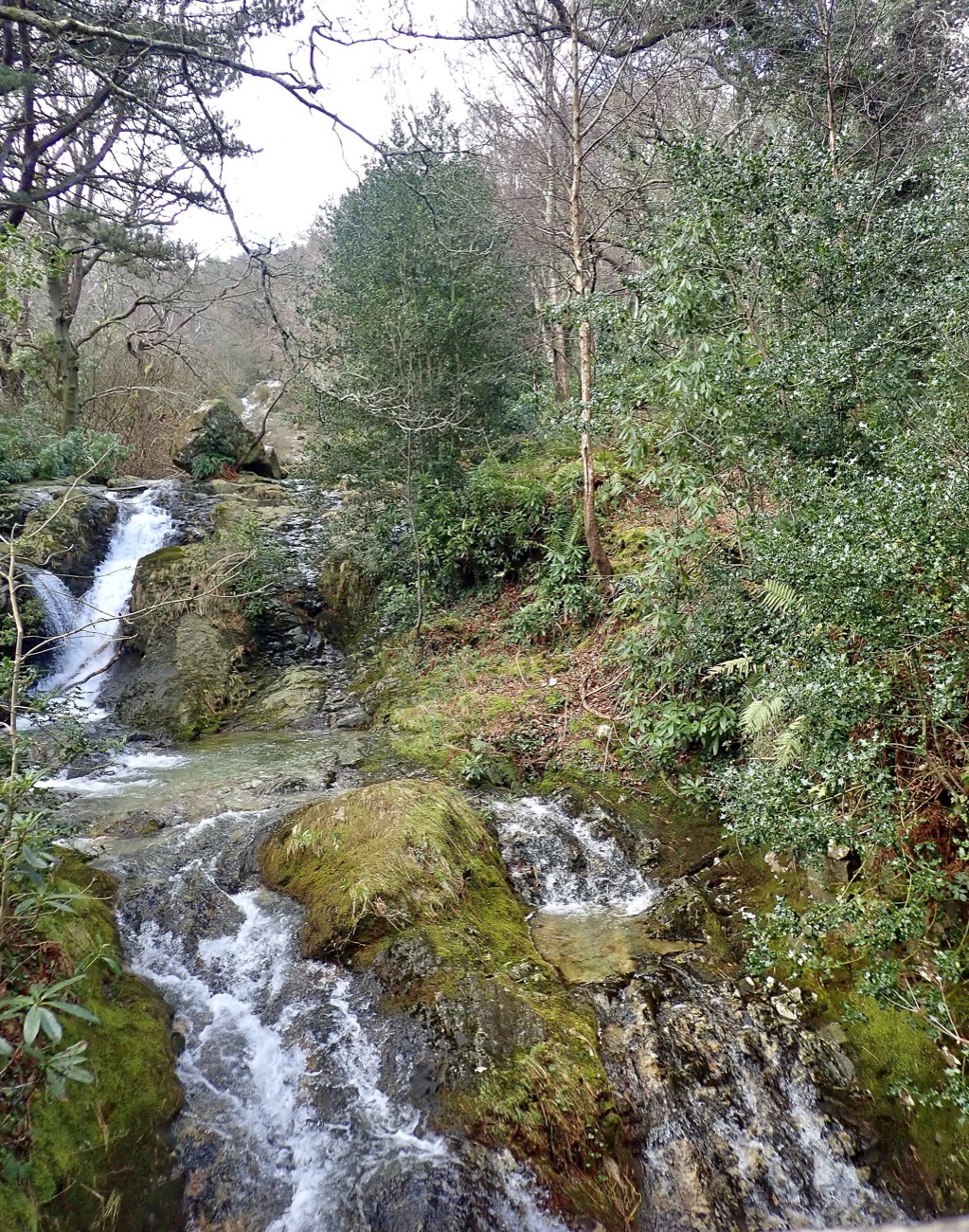 The Glen River tumbling over falls through the woodland at Donard Park