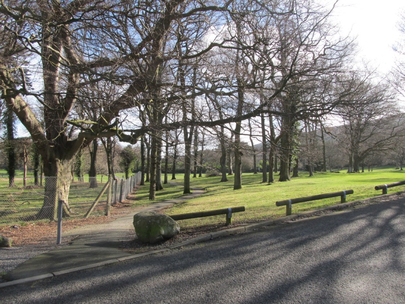 Wide lawns and mature trees in Donard Park with the mountains behind