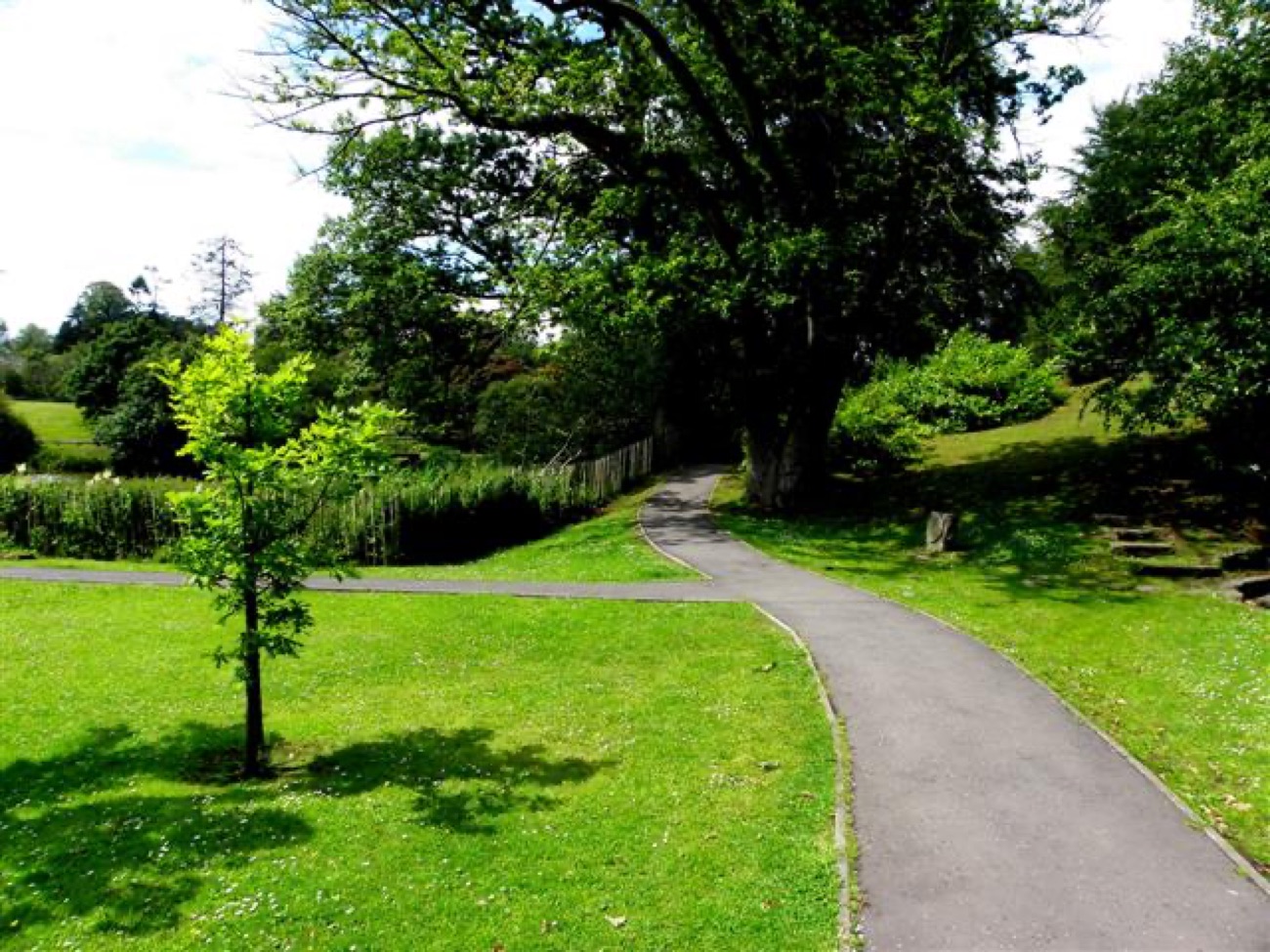 A lakeside woodland trail through Dungannon Park