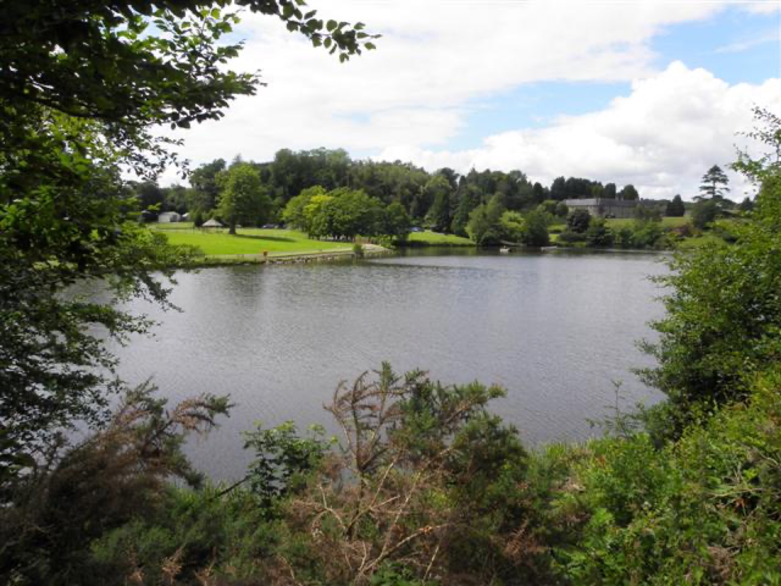 The lake at Dungannon Park framed by trees