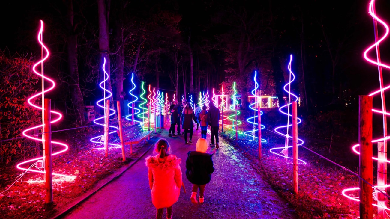 A tunnel of neon spiral Christmas trees in pink, green and blue lighting the path at the Enchanted Winter Garden