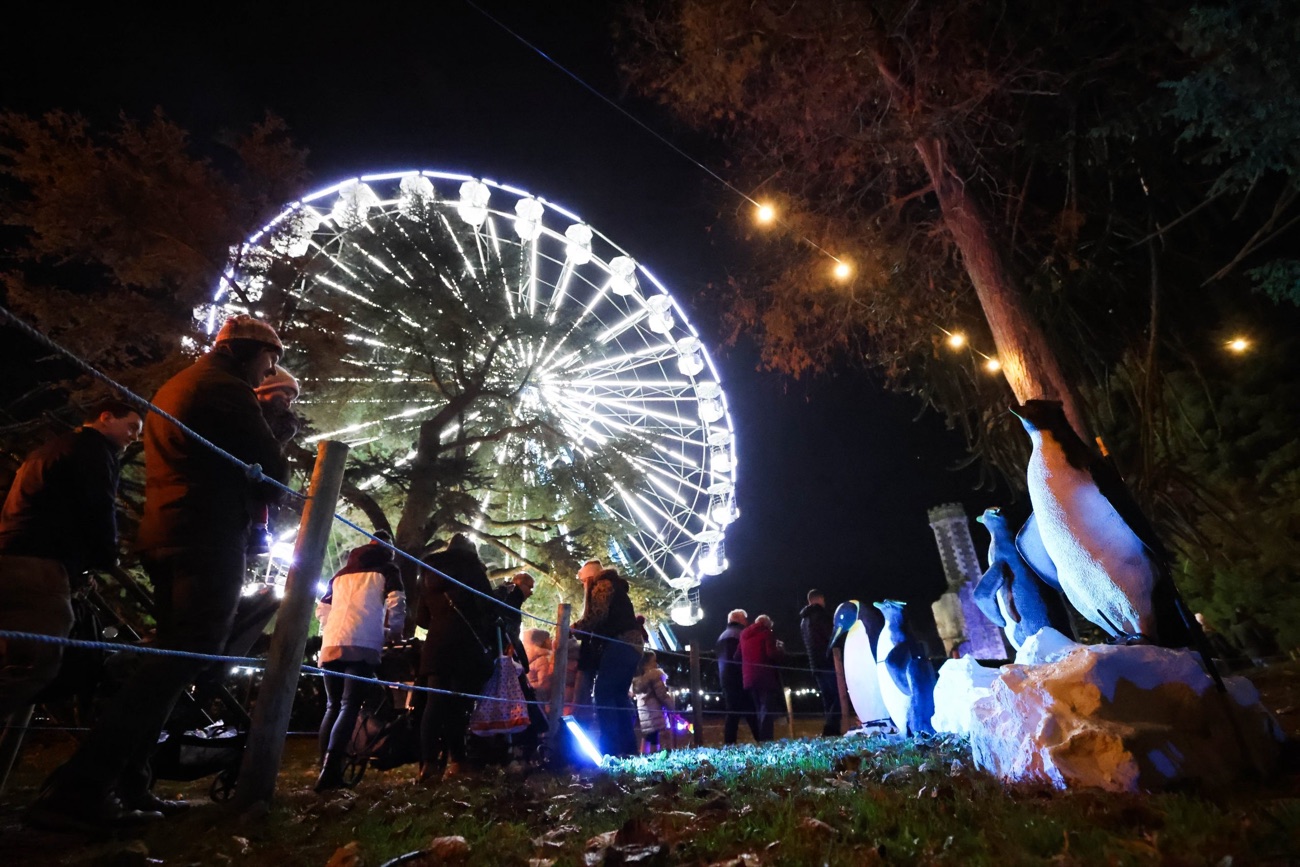 Illuminated penguin light sculptures beside the glowing big wheel at the Enchanted Winter Garden