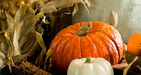 Halloween at Montalto