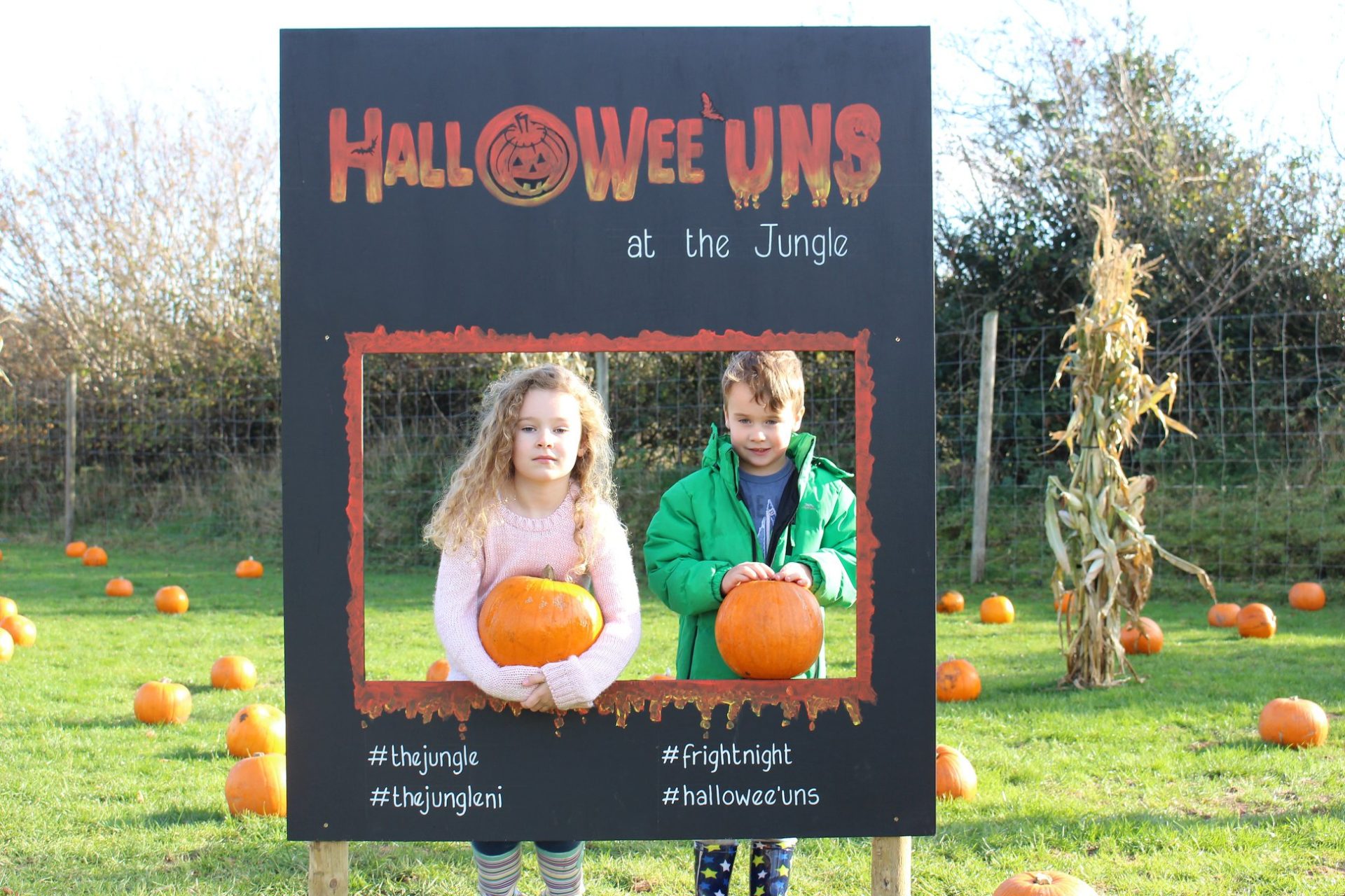 Hallowe'uns at The Jungle NI