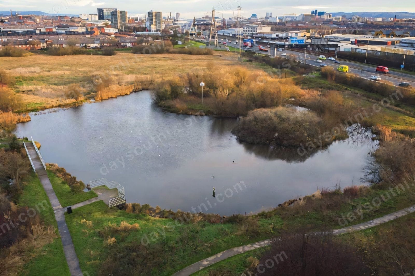 Reeds and open water at Bog Meadows Nature Reserve in Belfast