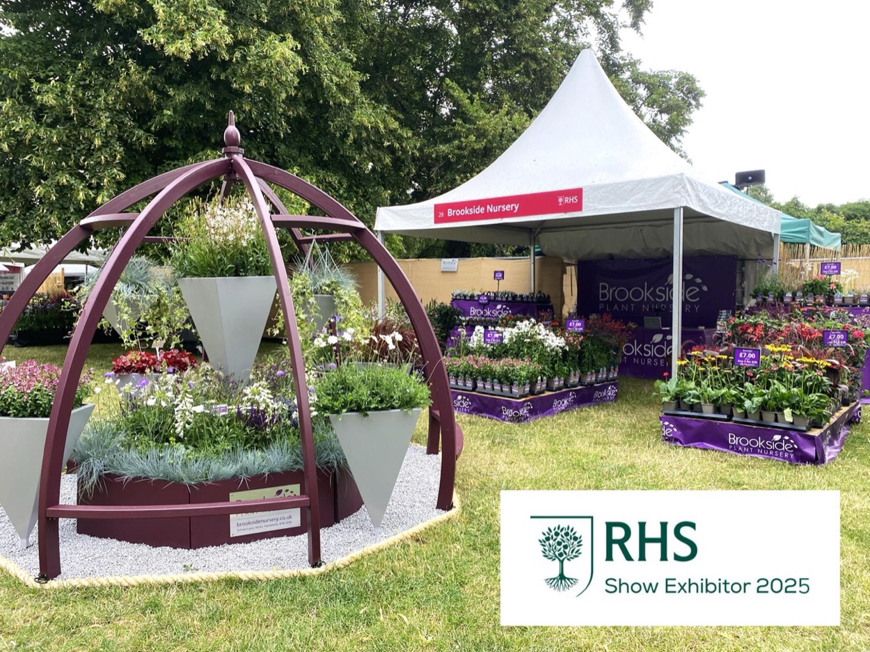 A colourful plant and nursery marketplace stall at Garden Show Ireland