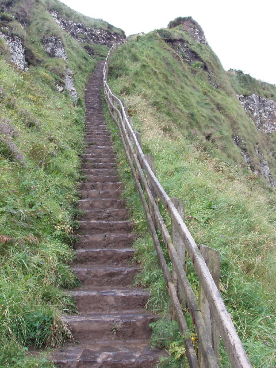 The Shepherd's Steps climbing the grassy cliff to the high path